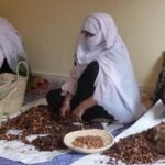تعاونيات زيت الأركان النسوية تعزز الإقتصاد التضامني بتارودانت